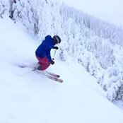 Amy Mac's photo