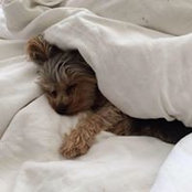 Amanda Eberhardt's photo