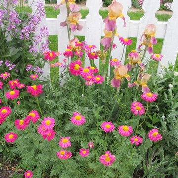 Beth's Garden 2014