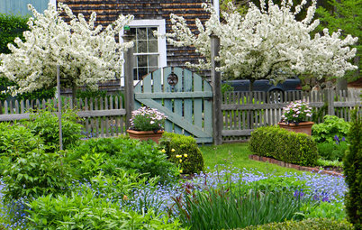 A Gorgeous Farmhouse Garden on Cape Ann Comes Into Bloom
