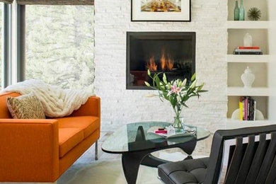Trendy family room photo in Denver