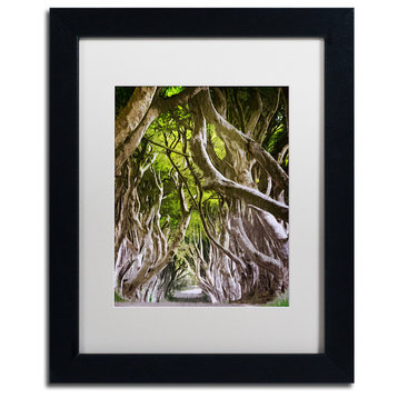 Philippe Sainte-Laudy 'King of the Woods' Art, Black Frame, 11"x14", White Matte