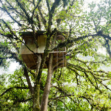 Treehouses