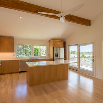 Honolulu New Build