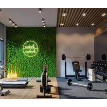 salle sport