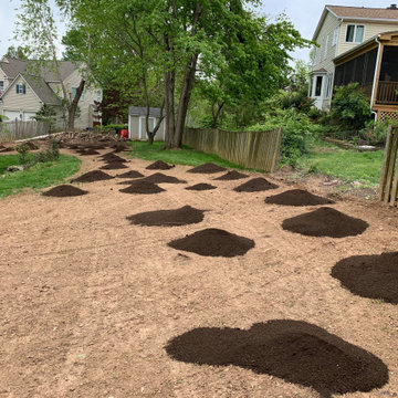 Lawn renovation