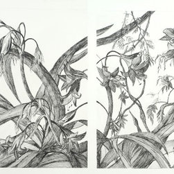 Dahlia Diptych - Drawings And Illustrations