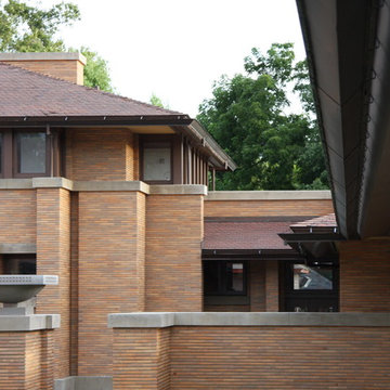 Frank Lloyd Wright's - The Darwin Martin Complex