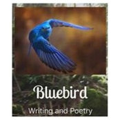 Katie Fesel's photo