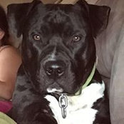 Melissa Ryan Worthington's photo