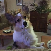 ShariLyne McDonough's photo