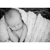 Jill Van Dyke's photo