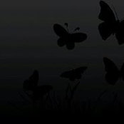 Eve Corprew's photo