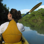 Samantha Ives's photo