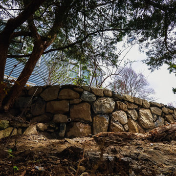 Stone Steps, Retaining Wall & Driveway Paving