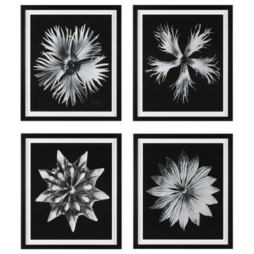 Uttermost Contemporary Floret Framed Prints, Set Of 4 by Grace Feyock