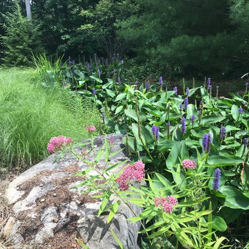 Native Perennial Gardens