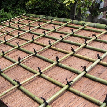 Tea Garden 1