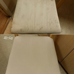 Sears Carpet Upholstery Cleaning London On Ca