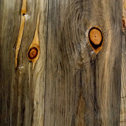 Beetle Kill pine - Wallpaper