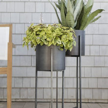 Decor