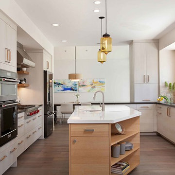 European Minimalism in Rancho Peñasquitos