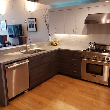 Kitchen Reface Flat Panel High Gloss