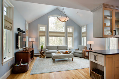 Design ideas for a transitional family room in Boston with medium hardwood floors, a freestanding tv and blue walls.