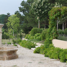 fountain
