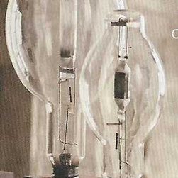 Roost Factory Light Bulb Sculptures - SKU: A728 - Wall Sconces