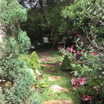 Elm's Secret Garden