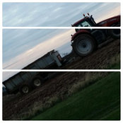 Gina Hall's photo