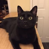 Krauti Haddock's photo