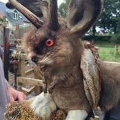 Florence Freeman's photo