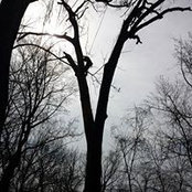 Foto von Rusty Roots Tree Care