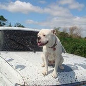 Marc Miller's photo