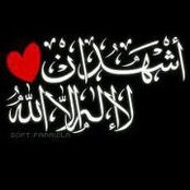 Mostafa Omar's photo