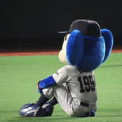 さとうきみかs foto