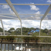 Diana Williams's photo
