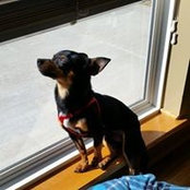 Amy McAlpine's photo