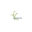 GroundWork Design Cincinnati LLC