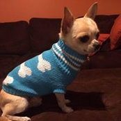 Thomas Lynch's photo