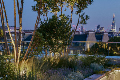 Photo of a medium sized contemporary roof rooftop glass railing terrace in London with feature lighting and no cover.