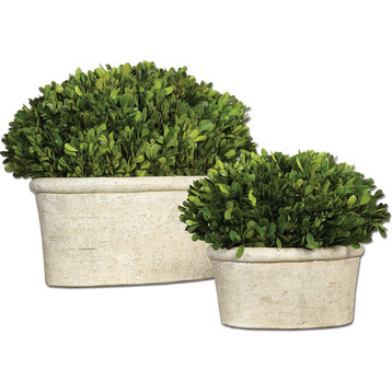 Oval Domes Preserved Boxwood, Set of 2, Natural