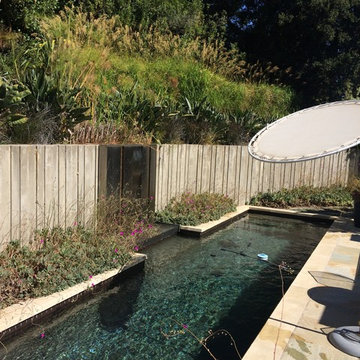 Swimming pool with fountain