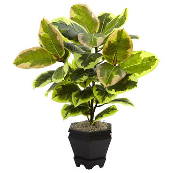 22" Variegated Rubber Leaf Plant With Wood Planter, Green
