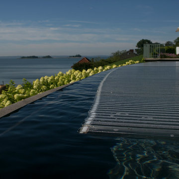 Pool in Paradise
