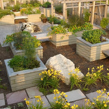 herb garden