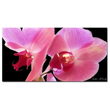 'Orchid' Canvas Art by Kathie McCurdy