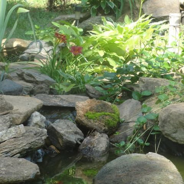 Our Work